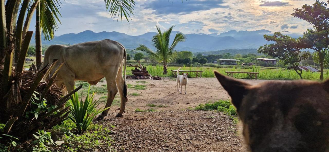 Atlas Valley (Adults Only) Pai Ngoại thất bức ảnh